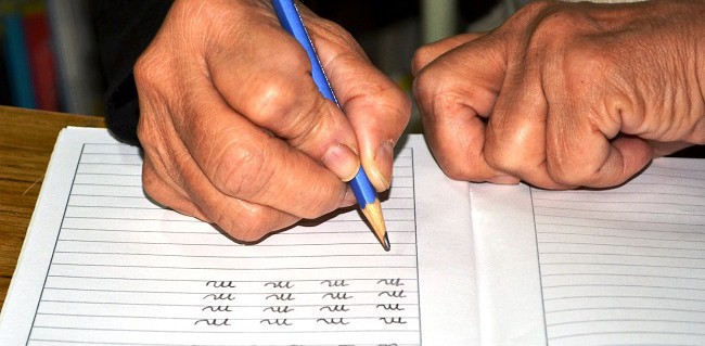 ieea-alfabetizacion-educacion-adultos